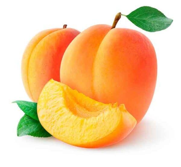 نهال زردآلو پرتقالی.نهالستان